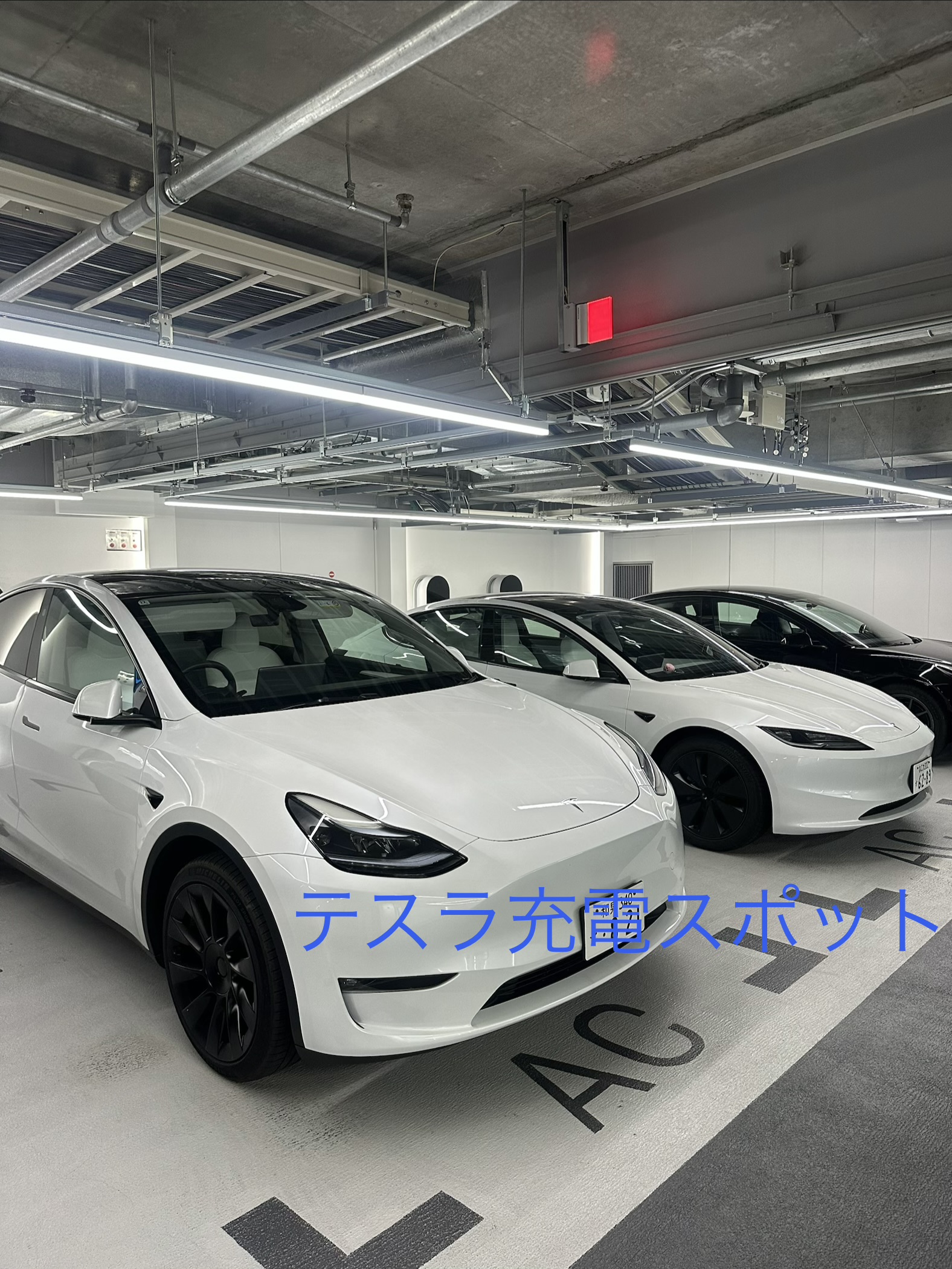 最新の口コミ画像